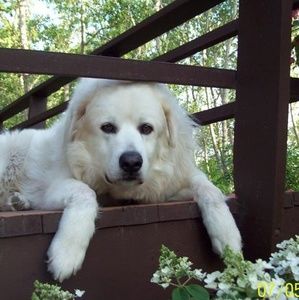 Meet your Posher, Suzanne